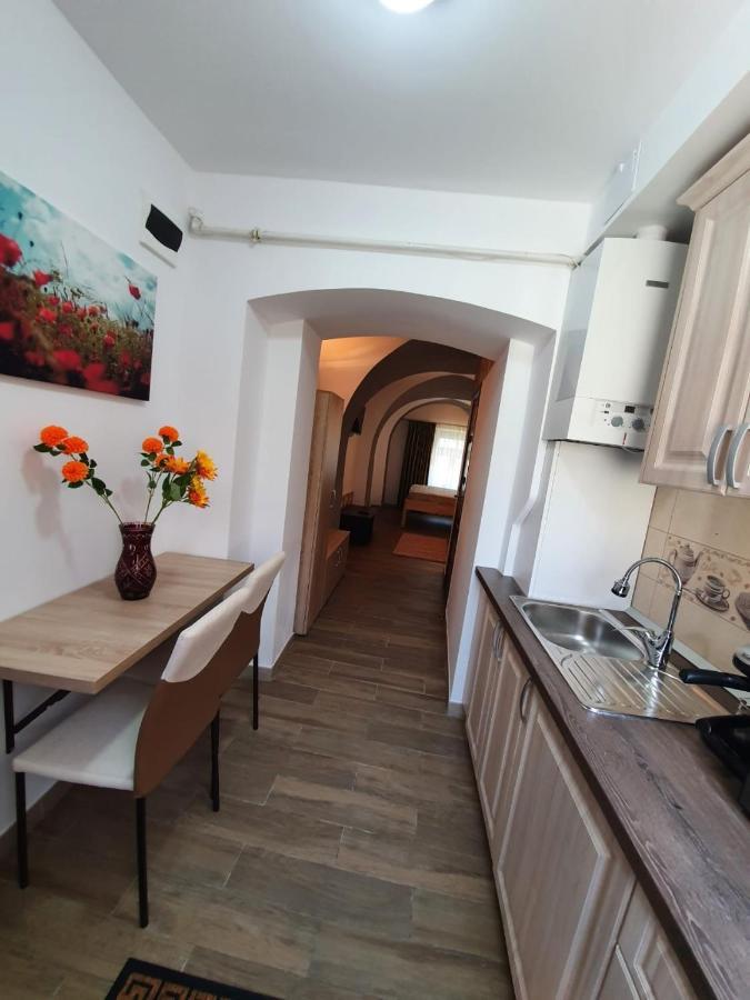 Radu Apartament Apartment Sibiu Luaran gambar
