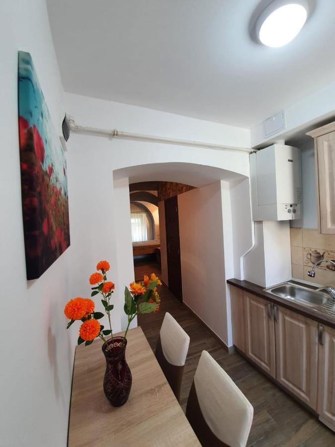 Radu Apartament Apartment Sibiu Luaran gambar